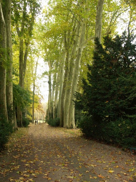 Eauduparc.com  L'eau à Fontainebleau